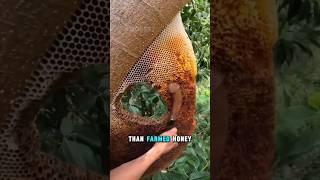 One Wrong Step Could Cost His Life