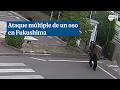 Una cámara capta el ataque de oso contra un empleado en Fukushima