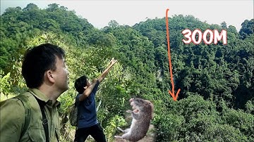 Một Ngày Đi Rừng Hiểm Trở | Thăm Bẫy Chuột Trên Núi Cao Vực Sâu