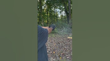 CZ Shadow 2 compact W/ Trijicon SRO TLR7X #gun #CZ #CZshadow2 #2A #streamlight #Trijicon #guntuber