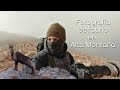 Fotografía de fauna en Alta Montaña | Rebecos 🏔️🌨️