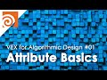 Vex for algorithmic design e01  attribute basics