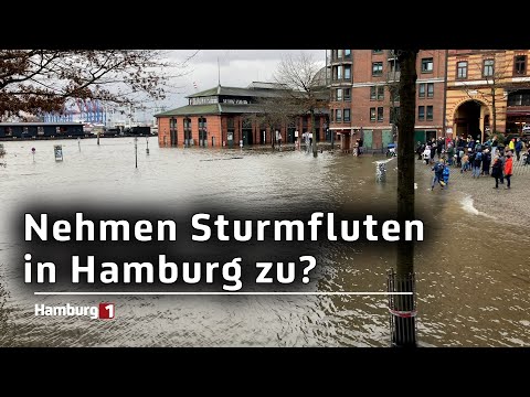 Mehrere Sturmfluten binnen weniger Tage - nehmen die Hochwasser zu?