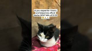 Donate through REMITLY on +256753428586🙏🙏🙏🙏🙏 #cat #usa #kitten #cats #uk #america