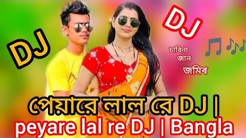 Pyarelal 🥰(প্যারেলাল)🎸koka koka song | Dui Prithibi | Dev | Jeet | Koel | Samidh | Bengali Lofi song