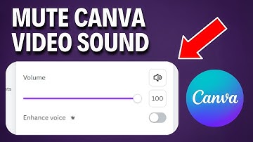 How to Mute Canva Video Audio/Sound