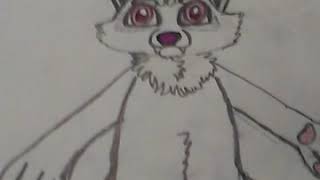 My other Albino Raccoon