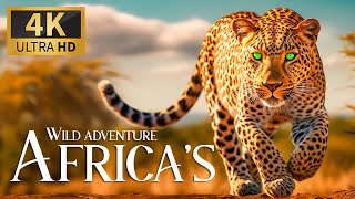 Wild Adventure Africa&#39;s 4K 🐆Discovery Relaxation Marvelous Animals Video with Calm Relax Piano Music