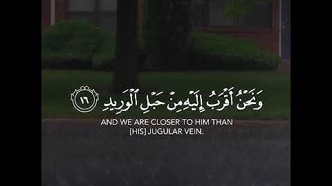 قرآن كريم بصوت القارئ سعيد الخطيب تلاوة مؤثر ارح قلبك 💚🌿حالة واتس اسلامية /ستوريات انستغرام