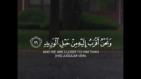 قرآن كريم بصوت القارئ سعيد الخطيب تلاوة مؤثر ارح قلبك 💚🌿حالة واتس اسلامية /ستوريات انستغرام