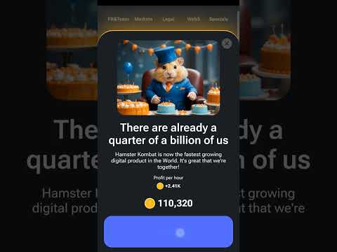 16 July Hamster