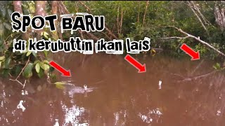 MANCING IKAN || SPOT BARU REJEKINYA PUN BARU