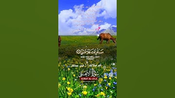 تلاوة خاشعة عطرة مباركة جميلة عذبة للشيخ ماهر المعيقلي ماتيسر من سورة الأعلى