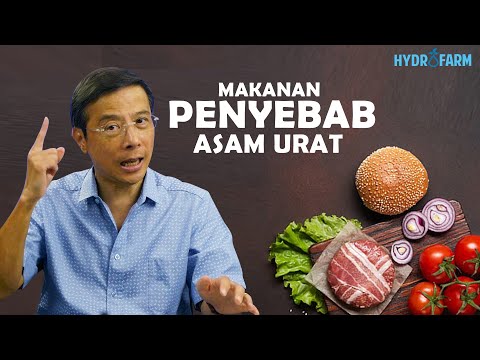 Makanan Penyebab Asam Urat Pada Kaki