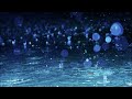 【新曲】「恋泣き港」/熊谷ひろみ cover 文夫(聖風) 2025年4月16日発売