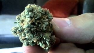 Indica Strains; Gucci, Versace. Dab Wax Vaporized