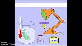 Virtual Photosynthesis Lab