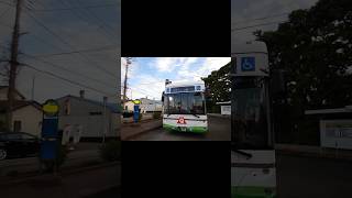 富士急シティバス　EVバスに乗ってきました　走行音#shorts #bus #富士急 #小鳥と日常