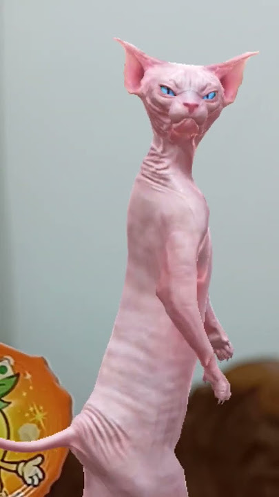 1159