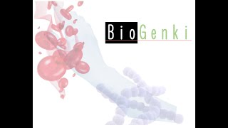 Biogenki: Juegos prototipo de baja fidelidad