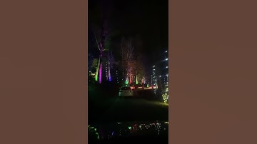 Thumbnail of Tanglewood festival of light #short