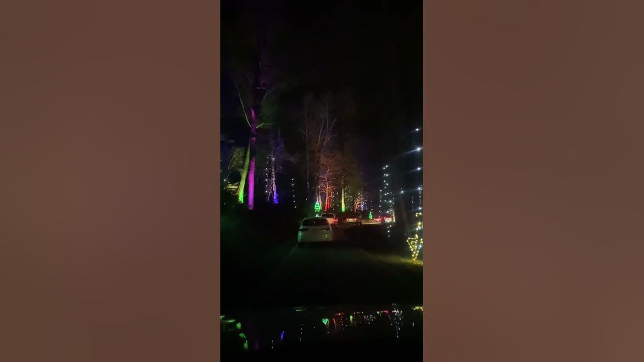 Tanglewood festival of light #short