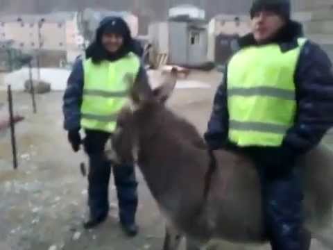 Замначальника патрульной полиции Днепра Логвиненко пострадал в ДТП - Цензор.НЕТ 6404