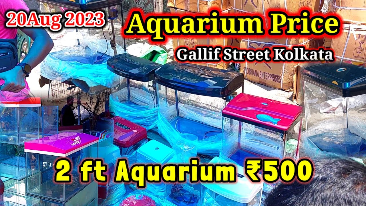 Recent Aquarium Tank Price Update Gallif Street Fish Market Kolkata