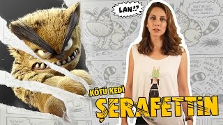 Kötü Kedi Şerafettin - Sinema Evreni