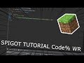How to Make a Minecraft Plugin Speedrun Code% 1.16.3 WR 00:05:33:34