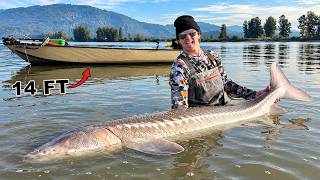 Battling a Canadian Dinosaur in my Jon Boat