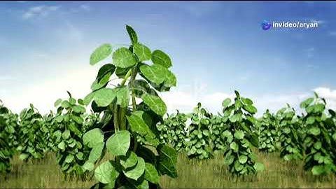 Plant Leaf Disease Detection AI Agent | Deep Learning Project Demo