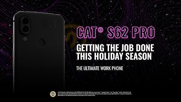 Cat phones | Getting the job done this holiday season