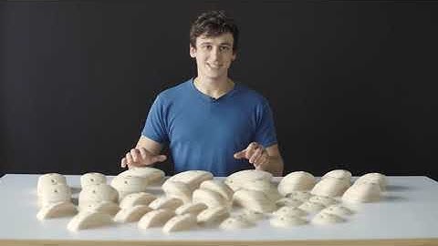 Escape Climbing Wood Holds Overview