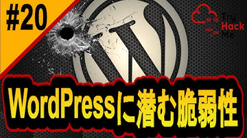 wpscanで脆弱性を探せ！【サイバーセキュリティ入門#20】#サイバーセキュリティ #プログラミング #tryhackme