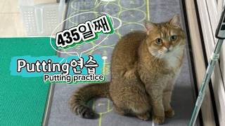 로즈킴 대표 영상 썸네일