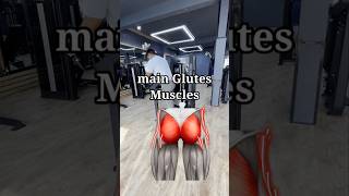 Ultimate Glutes Kickback Workout for a Perfect Booty | Get Strong and Toned Fast with Harry shorts