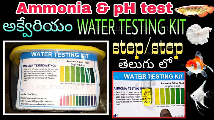 Api Water Testing Kit : Ammonia & pH testing in Water easily : Aquarium World Telugu