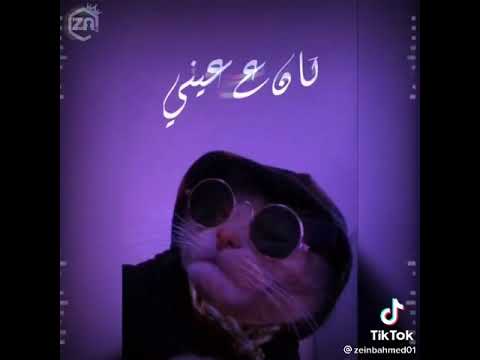 راجع يشكي جاي بيكي