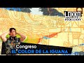 Lokko: Reacción a Congreso - El Color De La Iguana