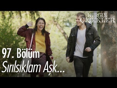 Sırılsıklam aşk.. - Kırgın Çiçekler 97. Bölüm