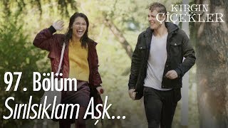 Download Sırılsıklam Aşk.. - Kırgın Çiçekler 97. Bölüm Video MP3 Sırılsıklam Aşk.. - Kırgın Çiçekler 97. Bölüm