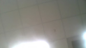 hVID 20251117 080959