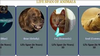 Amazing Facts About The Life Span of Animals / Captive animals Life Span by A2Z Facts and Quotes 53 views 2 years ago 2 minutes, 56 seconds