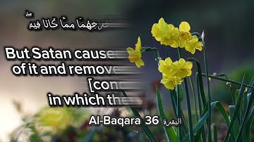 سورة البقرة الآية  36  Surah Al-Baqara Ayah