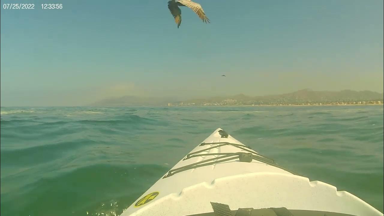 Ocean Kayaking, Ventura Harbor to Rincon, Viking Kayaks ProFish Reload