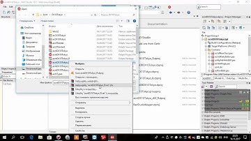 Install Delphi 10.2 Tokyo  Alpha skins Error