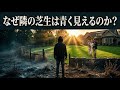 【心理学】「他人の人生」が異常に輝いて見える本当の理由【なぜ隣の芝生は青く見えるのか？】