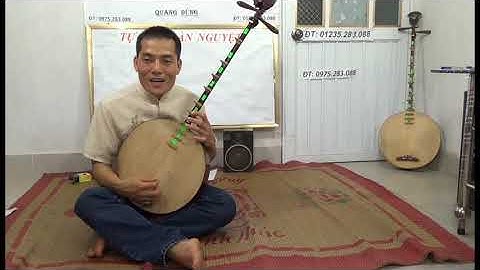 DẠY ĐÀN NGUYỆT CHO NGƯỜI DỐT CỰC DỐT P4.8 BAI 8 CƠ BẢN 1