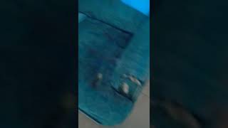 17 de septiembre de 2021